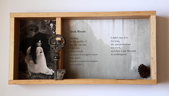 Dark Woods