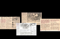 Notas de prensa