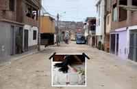 Tus calles mientras dormías (Your streets while you slept)