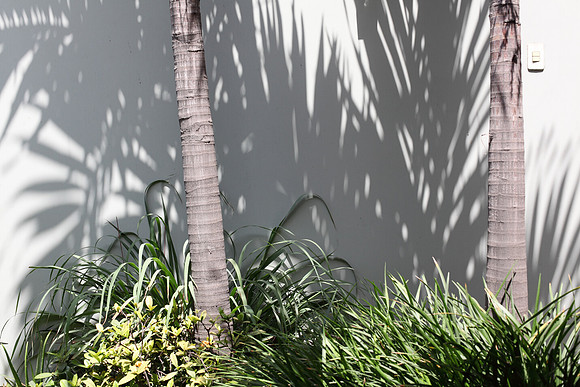 El patio de mi madre (My mother’s patio)