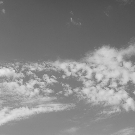 Bajo el mismo cielo (Under the same sky)